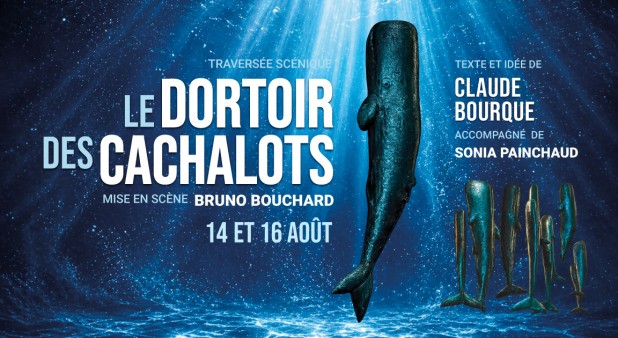 Dortoir des cachalots
