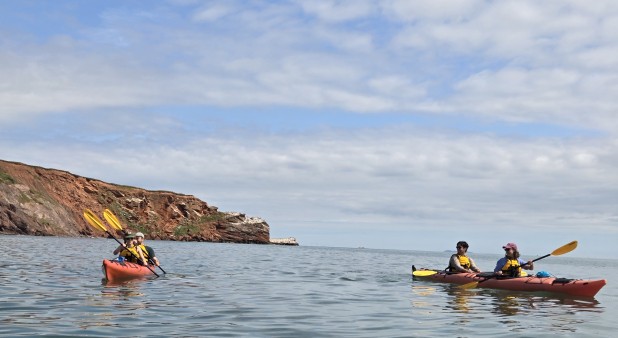 Kayak