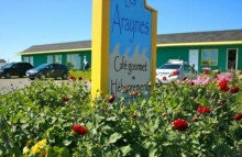 Les Araynes