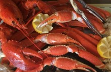 Fruits de Mer Madeleine