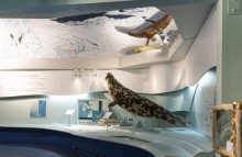 Centre d'interprétation du phoque