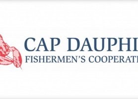 Cap Dauphin - Coopérative des pêcheurs