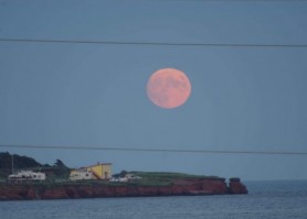 Baie du Bonheur