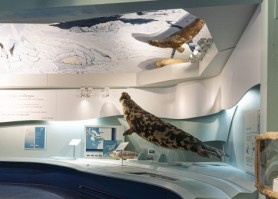 Centre d'interprétation du phoque