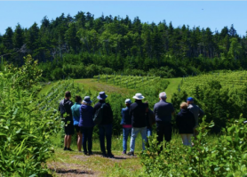 Le Domaine des Salanges