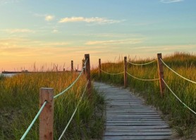 Marie-Claude Harvie, Intervenante