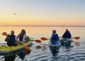 CindyHook Sports Aventures
