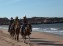 Ïles de la Madeleine - Équitation - Centre équestre La Crinière au vent