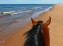 randonnée sur la plage