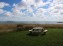The view