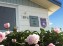 Chalet du Cap en fleurs