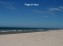Beach 150 feet at frond