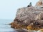 Couple\'s portrait at Brion Island