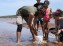 Softshell Clam Fishing