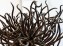 Annie Morin, «Nid mini» (Tiny nest)