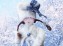 ARThure\'s dolls