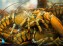 Pêcheries LéoMar-Lobsters