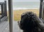 dog looking at the sea in a Zenith cottage