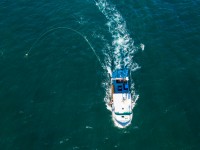 Pêches, produits de la mer et excursions de pêche touristique - compte-rendu de la rencontre, mars 2022