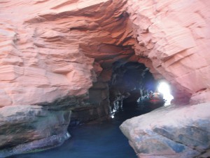 Grottes et falaises (option bateau et option zodiac)