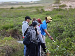 Voyage du grain de sable