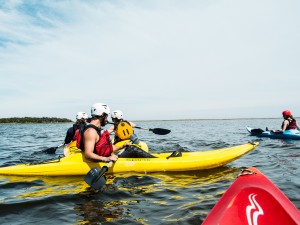 Plumes et pagaie, randonnée en kayak