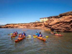 Sea Kayak Tour