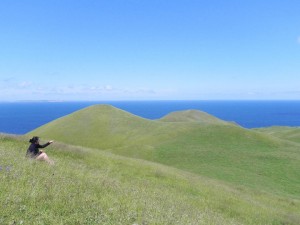 Entry Island