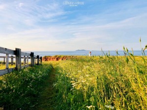 Balade à l'île-d'entrée