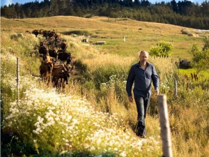 Visite à la Ferme laitière Pointe-Basse