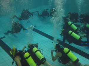 COURS DE NIVEAU DÉBUTANT - OPEN WATER DIVER