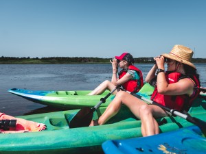 Plumes et pagaie, randonnée en kayak