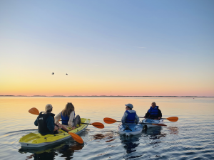 Kayak Rental