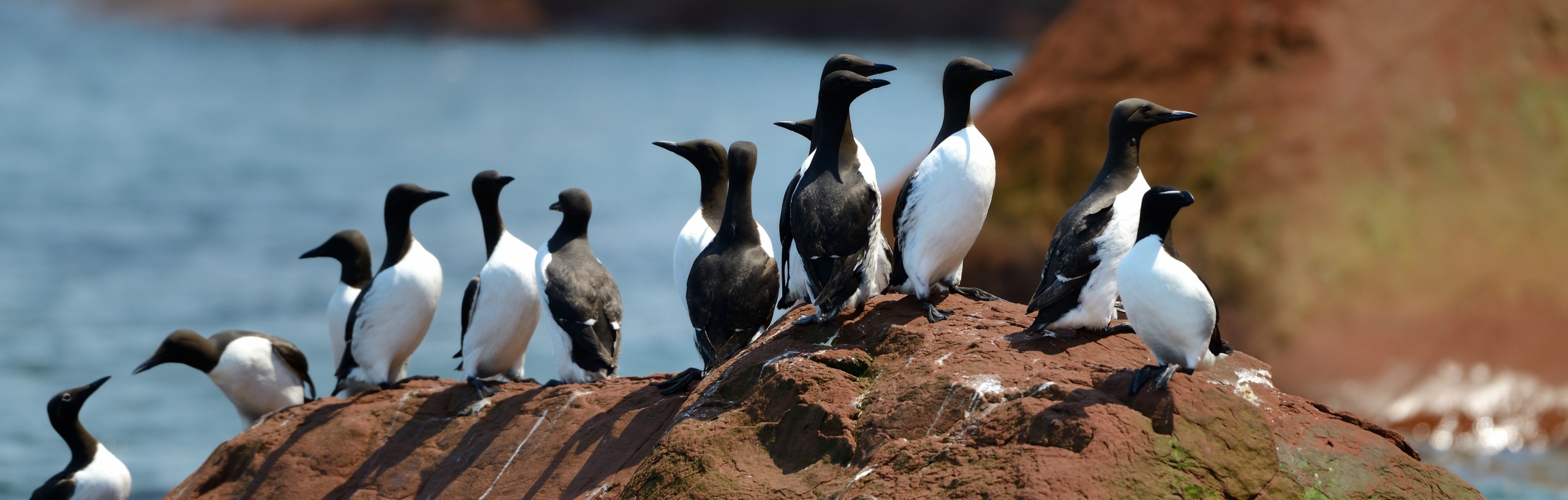 Tourisme Îles de la Madeleine