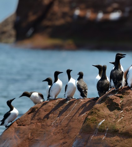 Tourisme Îles de la Madeleine