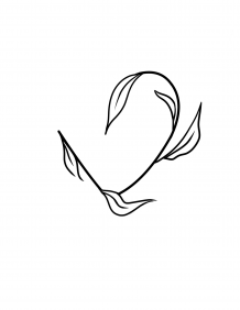 Coeur d'herboriste - Logo