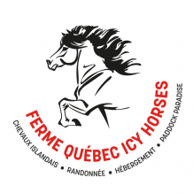 Ferme Québec Icy Horses - Logo
