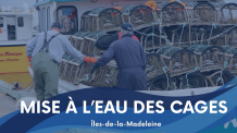 Mise à l'eau des cages - Logo