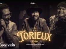 Les Torieux