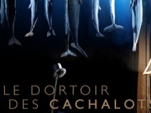 Claude Bourque - Le dortoir des cachalots
