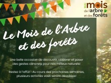 « Et dans ce bois, savez-vous ce qu'il y a? »