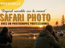 Regard sensible sur le vivant -Safari photo avec un photographe professionnel