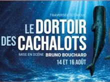 Le dortoir des cachalots