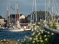 Course de dingy à la rame et remise de prix