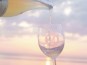 Dégustation dimanches vin nature ( 23 août)