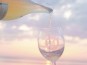 Dégustation dimanches vin nature ( 30 août)