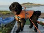Paddling with Your Dog in the Magdalen Islands (July 7)