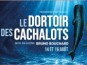 Le dortoir des cachalots