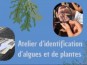 Atelier d'identification d'algues et de plantes