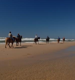 Horseback Riding